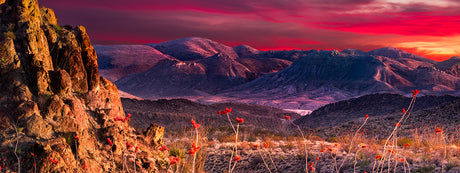 Discovering the Beauty of Texas: Overlanding Locations for Earth Day