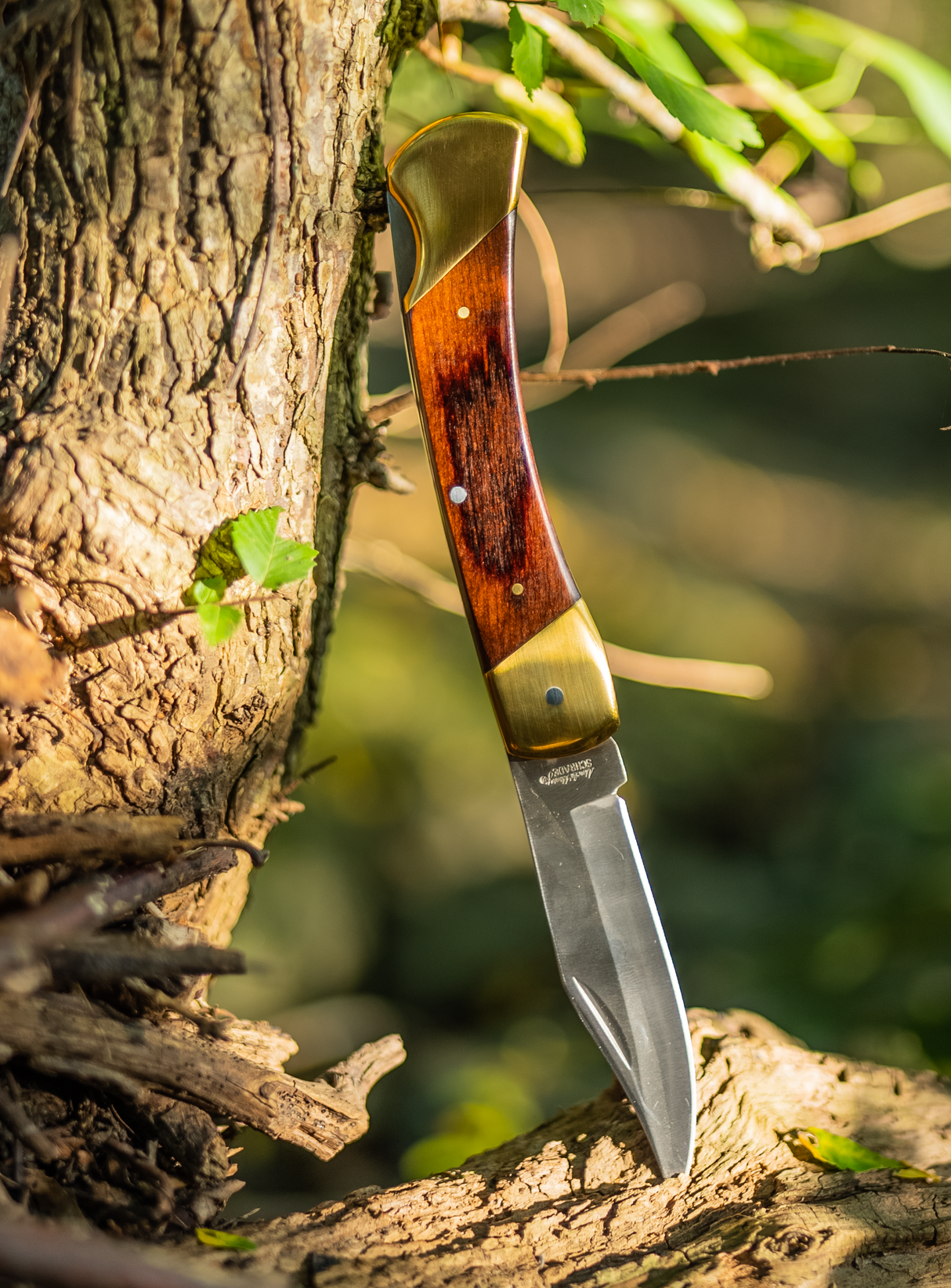 Uncle Henry LB7CP LB7 Bear Paw 3.70" Folding Plain Stainless Steel Blade 5" Includes Sheath