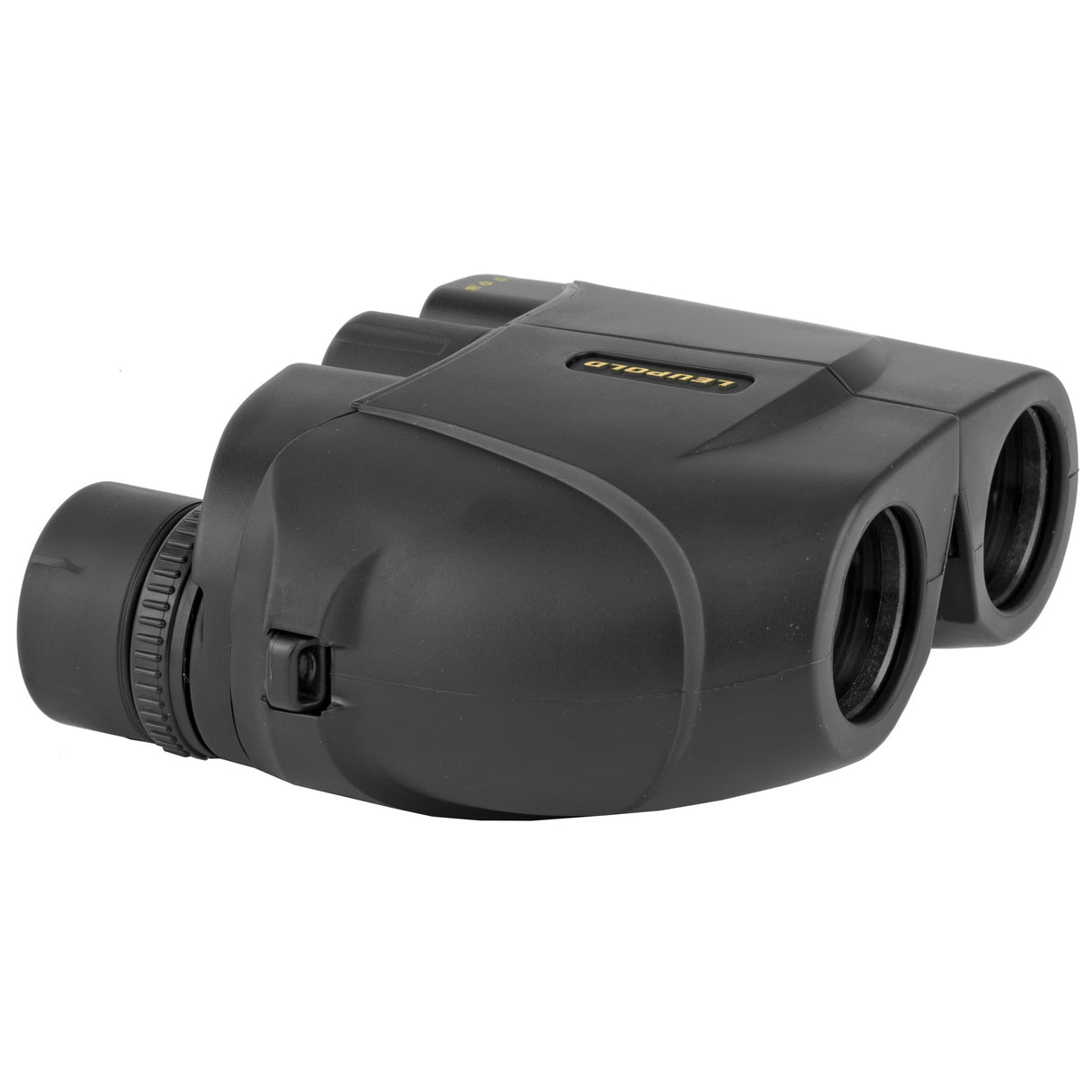 Leupold 8x25 BX-1 Rogue Binocular Black, Compact, Porro Prism