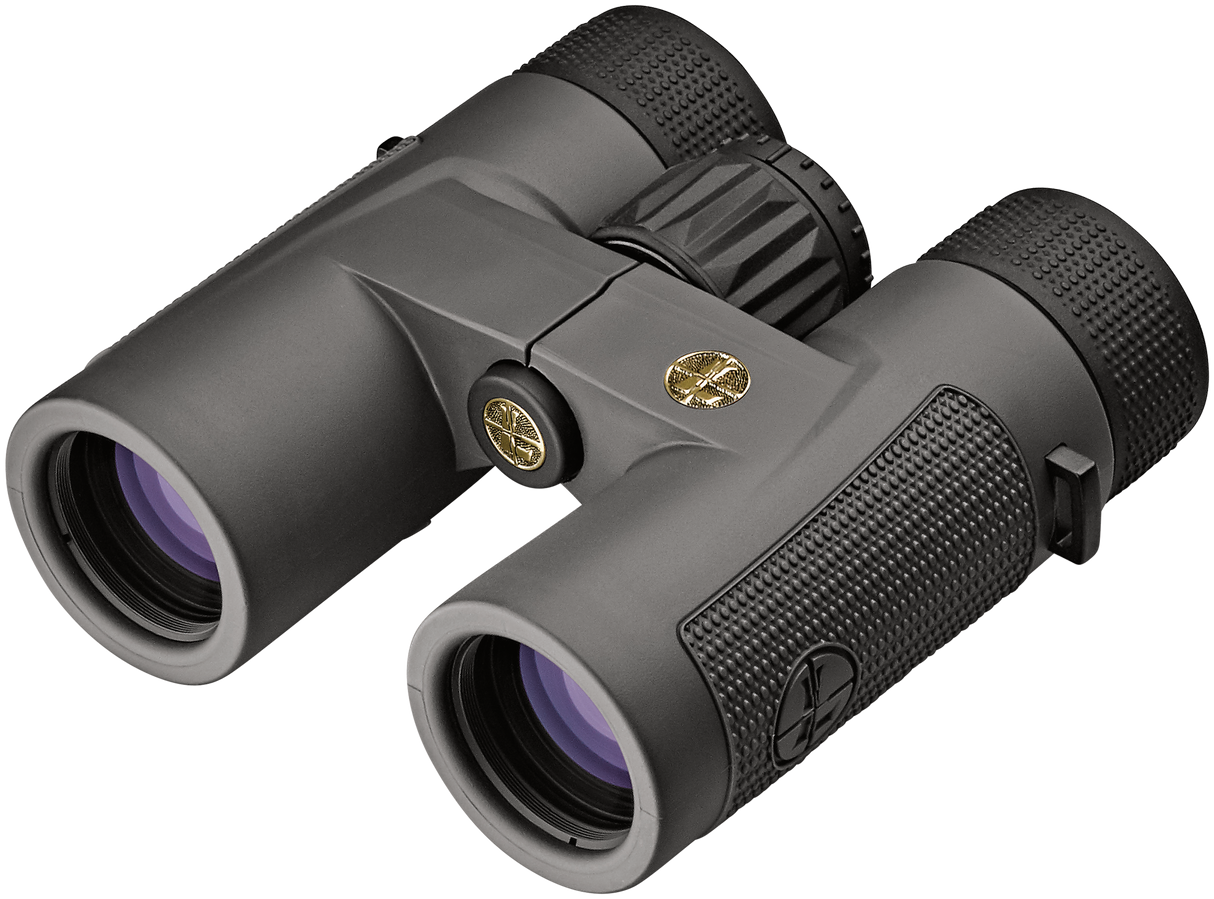 Leupold 10x32 BX-4 Pro Guide HD Binocular Shadow Gray, Roof Prism
