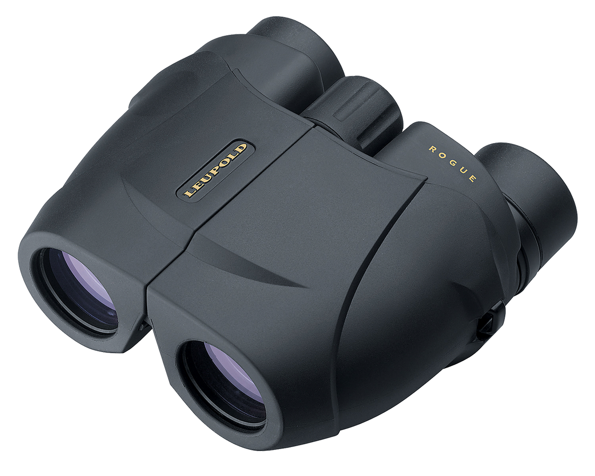 Leupold 10x25 BX-1 Rogue Binocular Black, Compact, Porro Prism