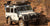 Protection, Bumpers & Carriers