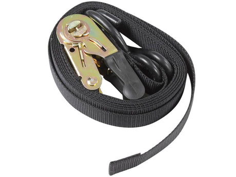 Strap Ratchet 25 X 2.5M W- Hooks